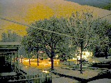 First snow from front porch- Dec 8-2001- 04 JPG